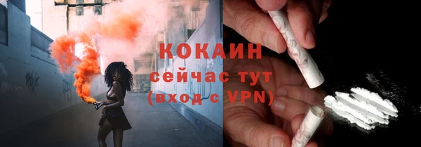 mdpv Богородицк
