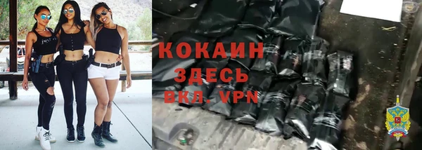 mdpv Богородицк
