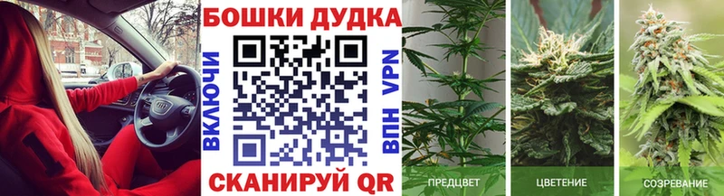 кракен вход Козельск Шишки марихуана Ganja что такое